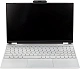 Ноутбук HIPER WORKBOOK N1567RH [U9D2LKF]
