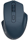 Беспроводная мышь CANYON CNE-CMSW15DB
