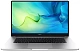 Ноутбук Huawei MateBook D15 BOD-WDI9 (53013SDW)
