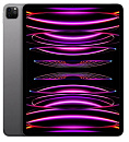 iPad Pro 12.9'' (2022)